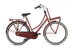 Daily dutch basic+ 28 inch 57 cm dames 3v terugtraprem rood