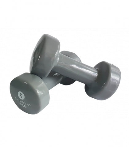 dumbbell epoxy 2 x 3 kg grijs